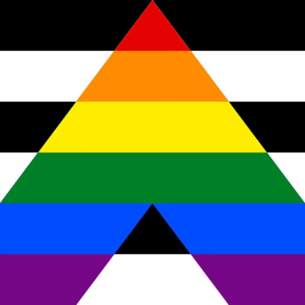 Ally Flag